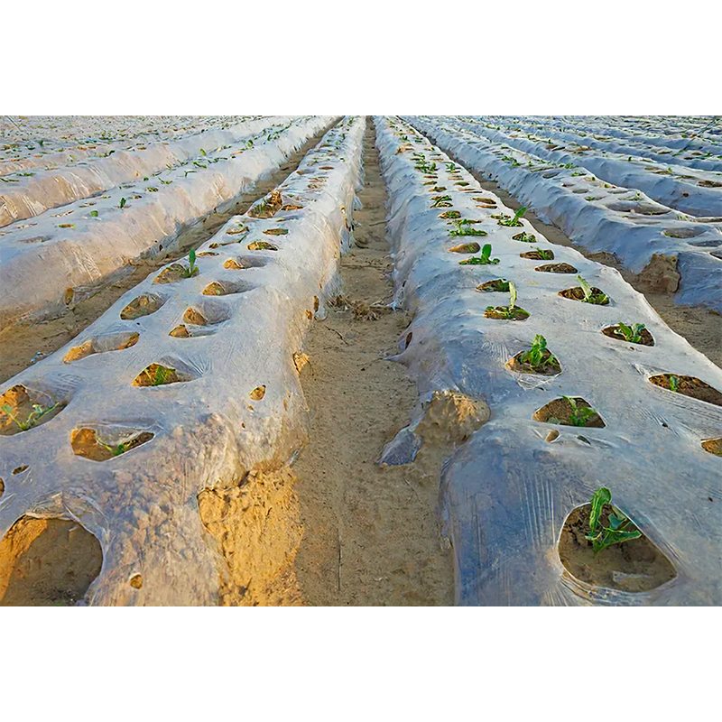Landbrugsplastfilm